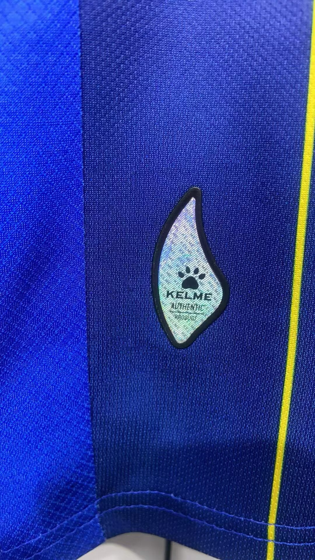 Bosnia 26/27 home Fan Version
