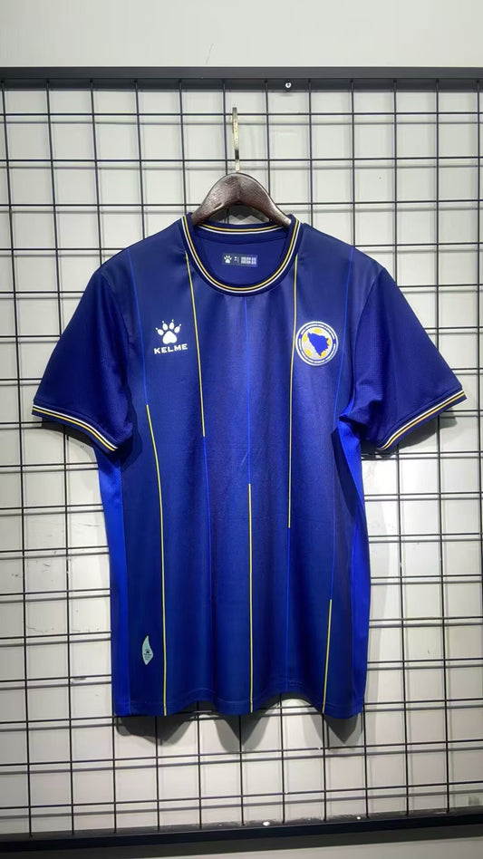 Bosnia 26/27 home Fan Version